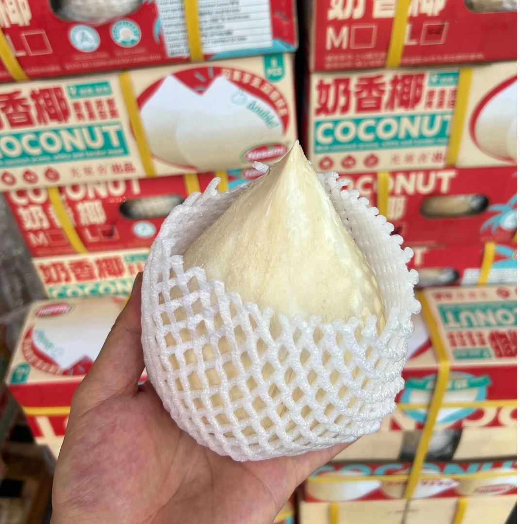 越南当季进口奶香椰子椰皇新鲜9A饮品浓郁口感