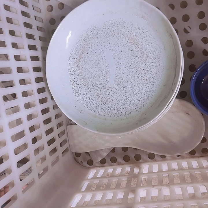 瓷8 英寸 果盘  5 个