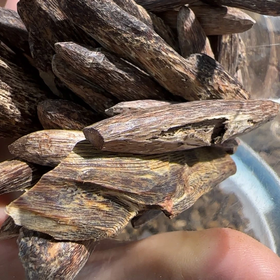 沉香沉香碎屑野货5克多样性深圳瓜子料