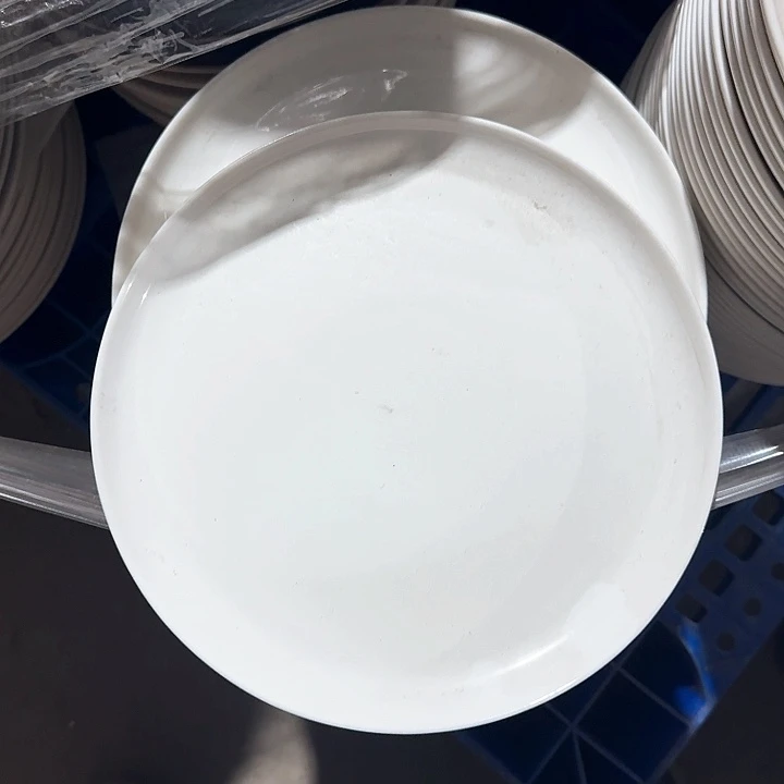 瓷10 英寸 牛排盘 2 个