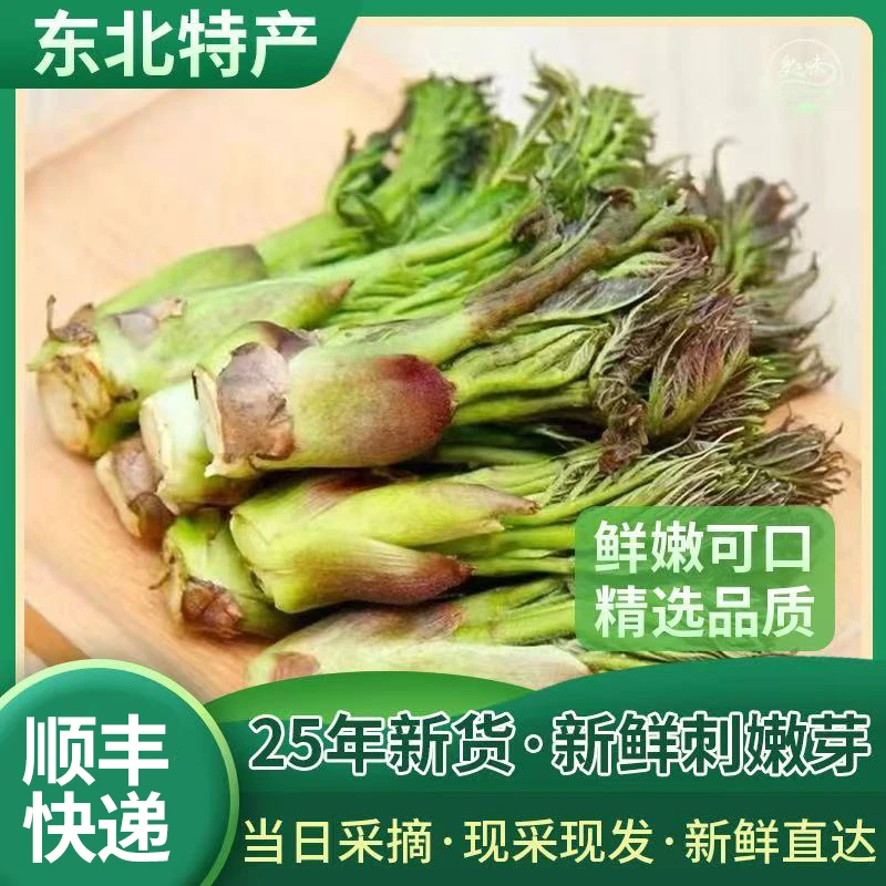 【野生刺嫩芽】东北特产山野菜刺嫩芽新鲜刺老芽刺龙芽1斤3斤顺丰