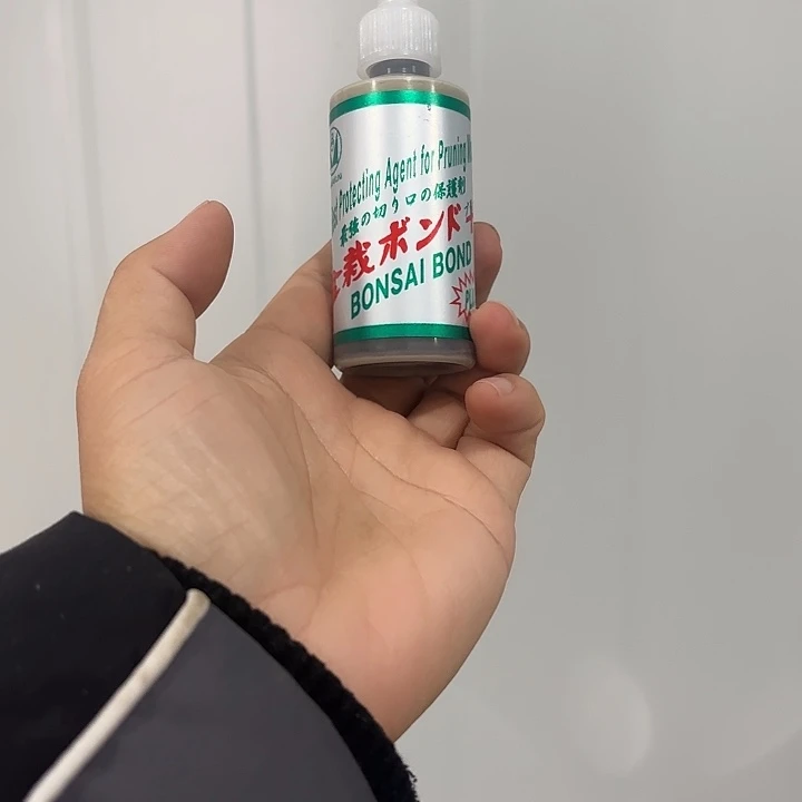 杰***杰完全开放福建福建杜鹃附近杜鹃杜鹃杜鹃