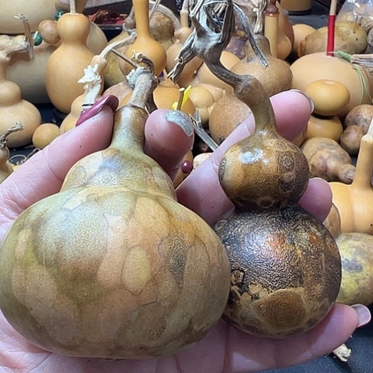 用****2葫芦葫芦葫芦葫芦