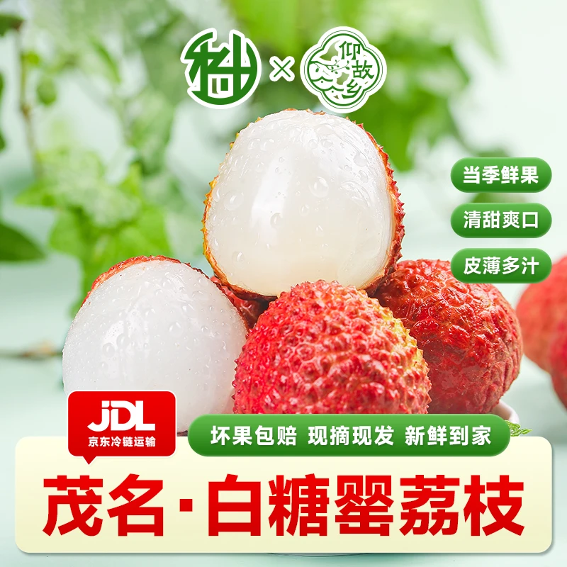 【空运京东顺丰】广东茂名高州现摘白糖婴头茬荔枝不泡水爆甜多汁B