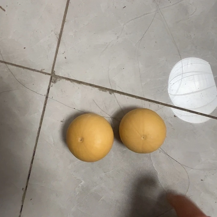 鸡蛋葫芦2个厚皮漂亮