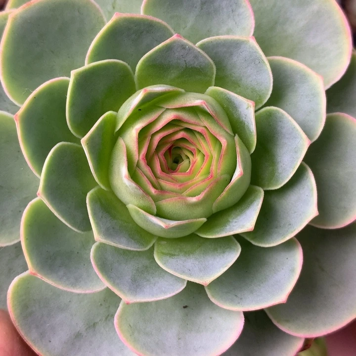 一物一拍追光者131