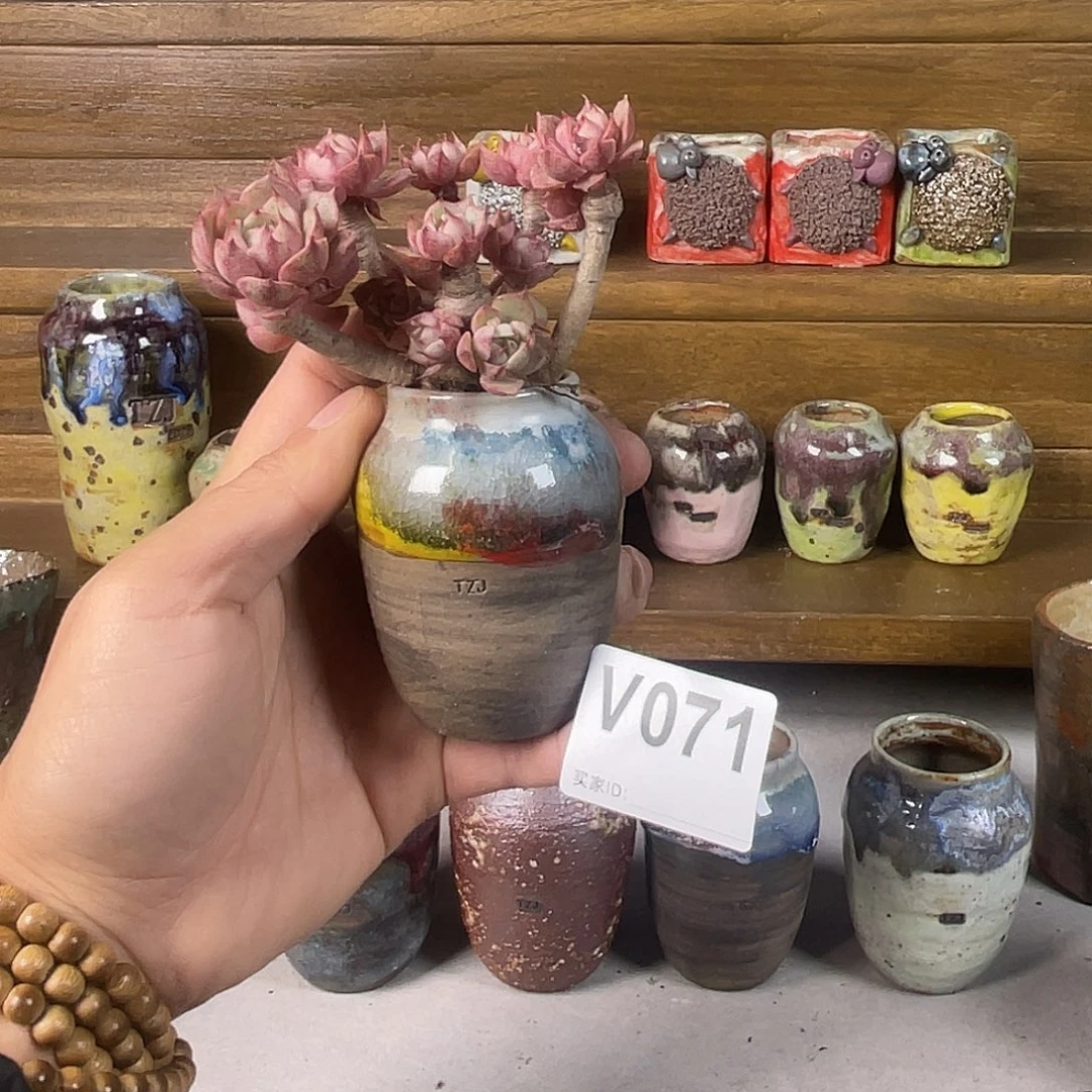 坛子姐多肉花盆内口3不含肉