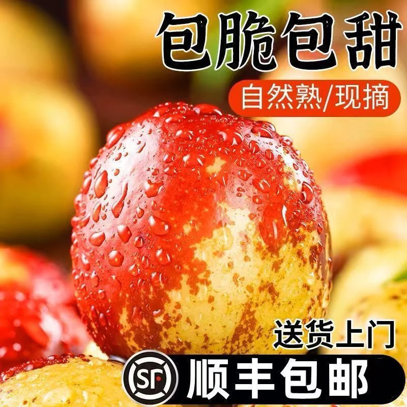 正宗陕西大荔A级果王黄油冰糖冬枣现摘现发应季新鲜脆甜水果
