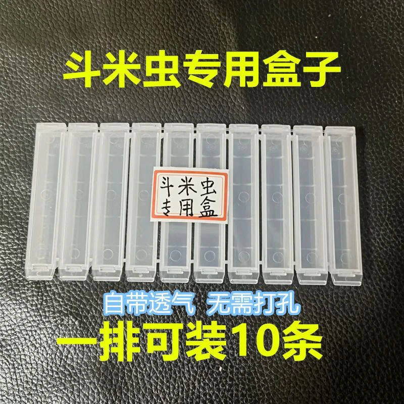 斗米虫专用塑料包装盒适用于鸟不踏刺云实树虫虎刺狼虫批发