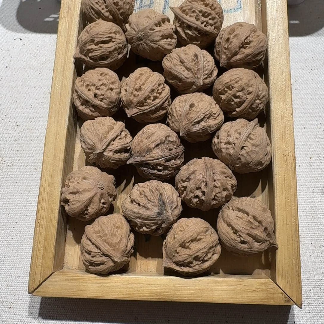 核桃手串/手链71号边23肚27高24