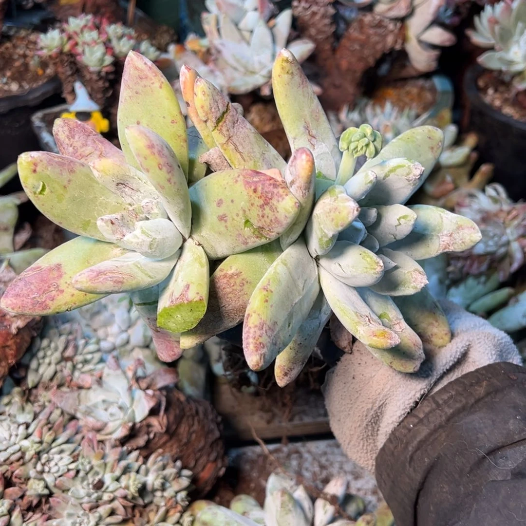 222哈哈哈哈哈哈哈哈