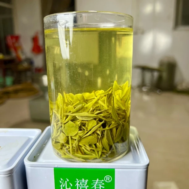 沁禧春［450头采头春绿茶］A沁禧春2025年新茶正宗日照绿茶露天茶