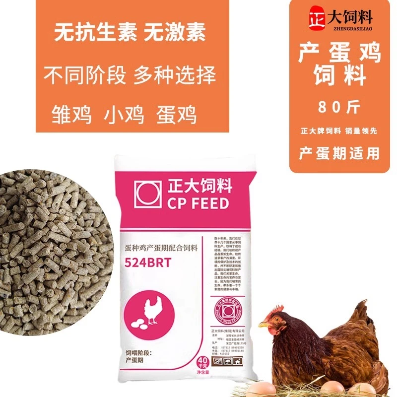 正大524BRT产蛋鸡饲料小颗粒雏鸡小鸭育雏开口中大鸡钓鱼打窝散装
