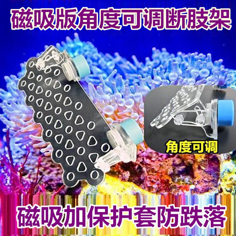 鱼彩单层断肢架 角式磁吸版SPS纽扣断肢架断支断枝架珊瑚架支架