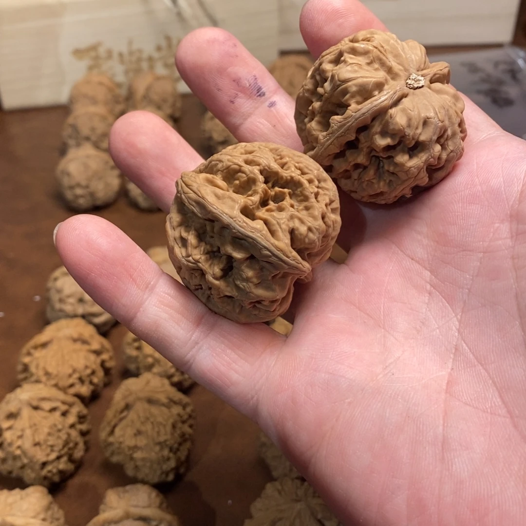 阿***泽手串金刚菩提粗筋43