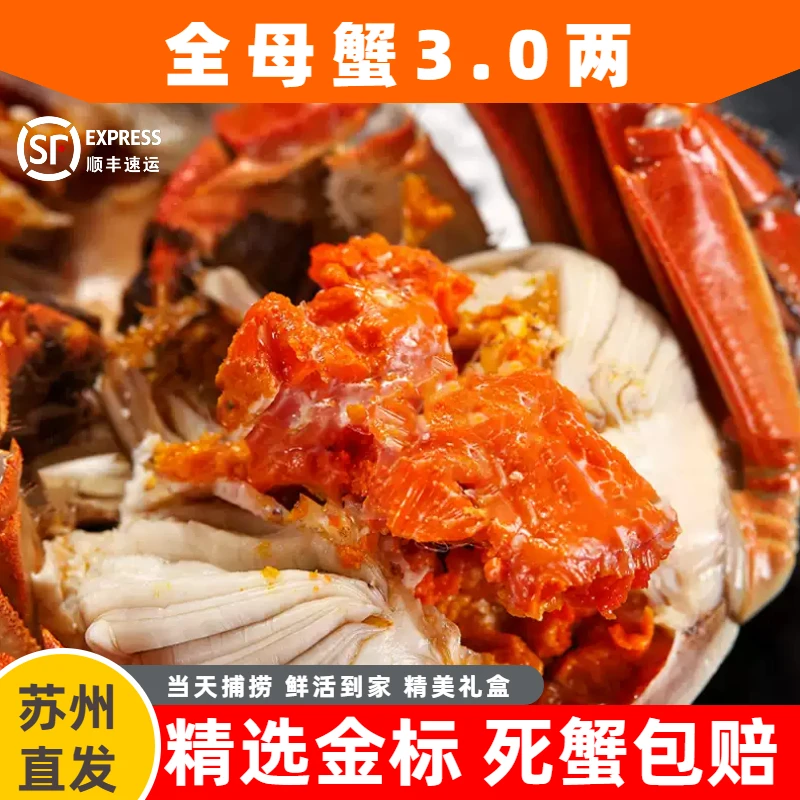 【金标活蟹】苏州精品大闸蟹全母蟹3.1-2.8两 6/8/10只精美礼盒装顺丰