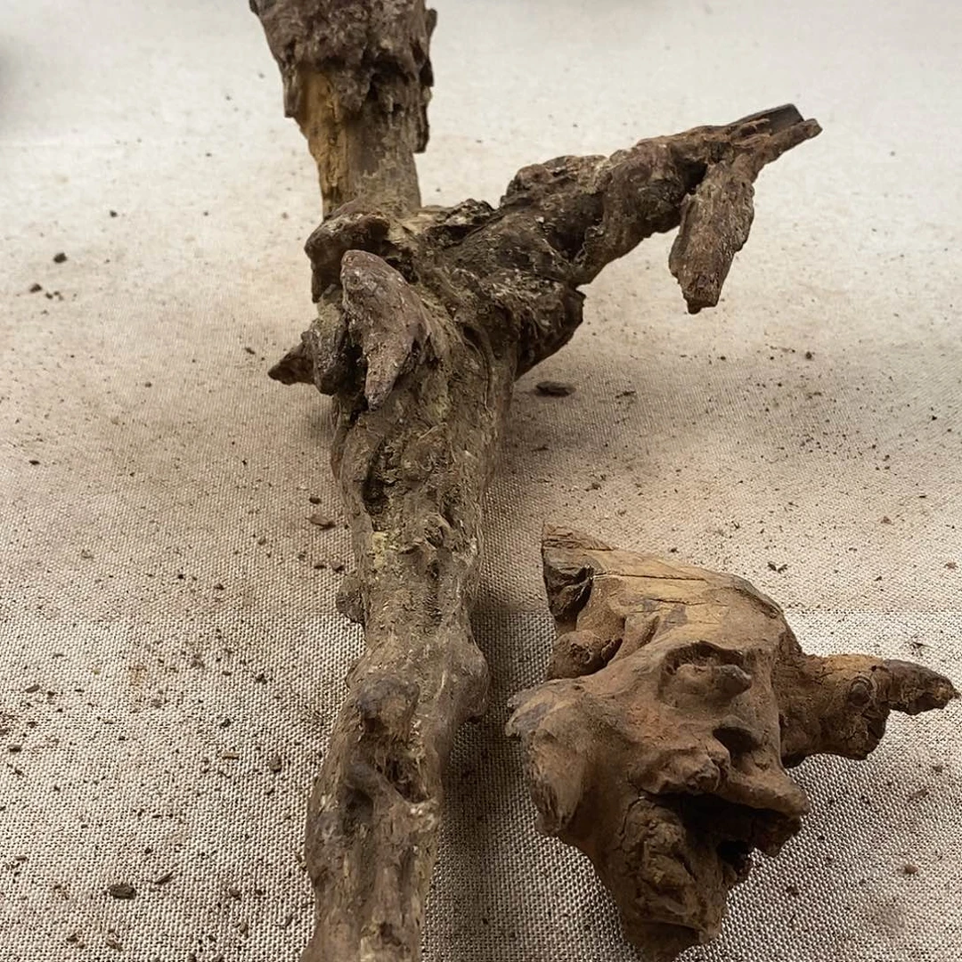 大***7黄花梨/降香黄檀黄花梨随形料子