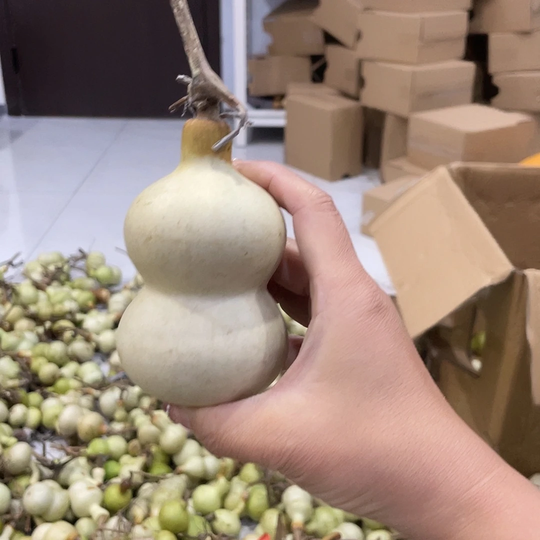 他咯旅途可口可乐了可口可乐了了