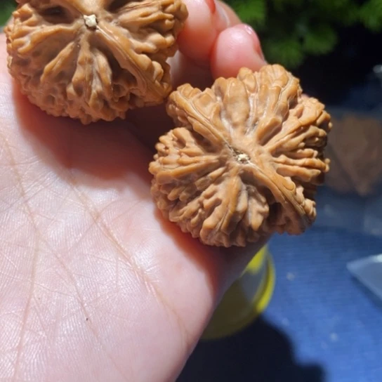 【闪购商品】吊坠文玩核桃星*吗疑问