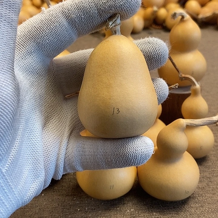 文玩葫芦 完美主义者 慎拍13