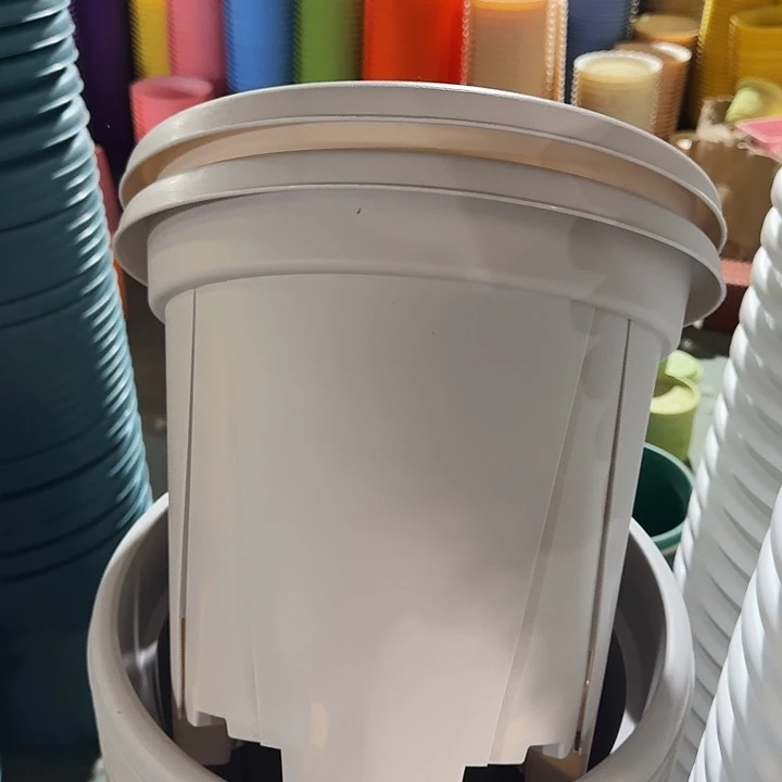 青山7#灰白5个无托