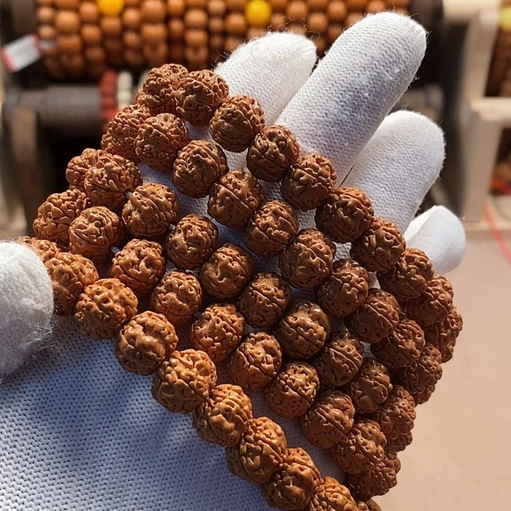 金刚菩提吊坠帝王龙