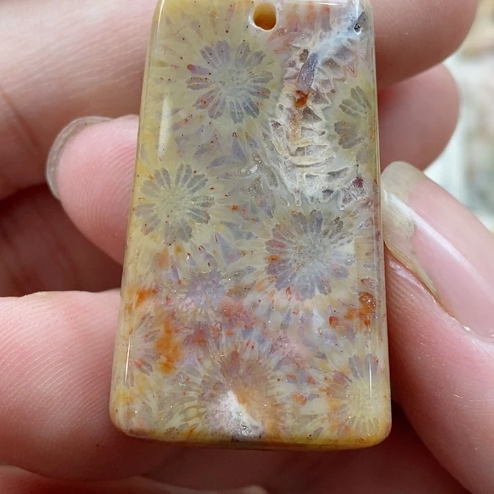 颈饰未镶嵌硅化珊瑚（珊瑚玉）