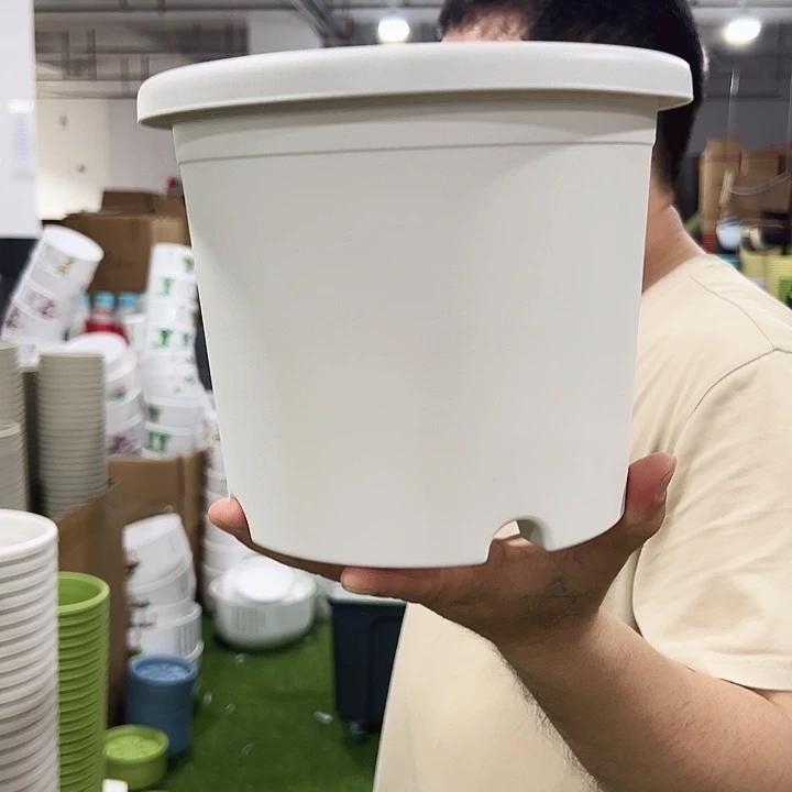四季3号特价口21高17白色10个无托