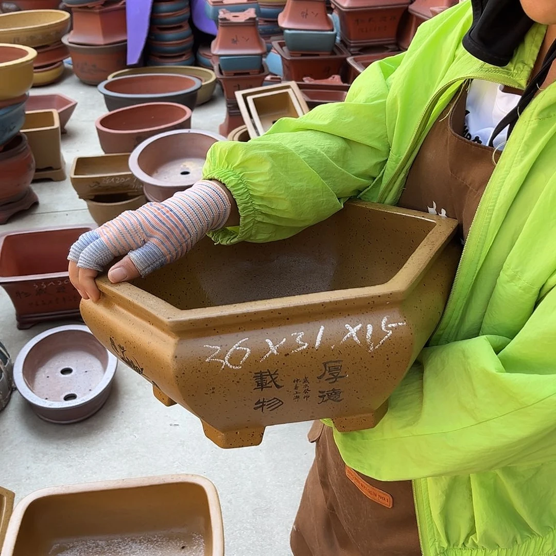 紫砂花盆盆景艺术