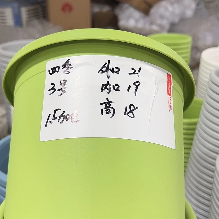 特价3号四季口21高18果绿无托10个