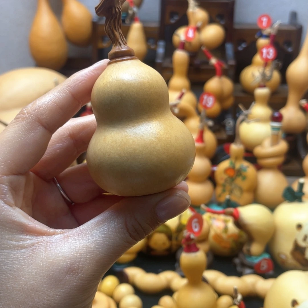 珂*大自然的秘密第十一节你是谁