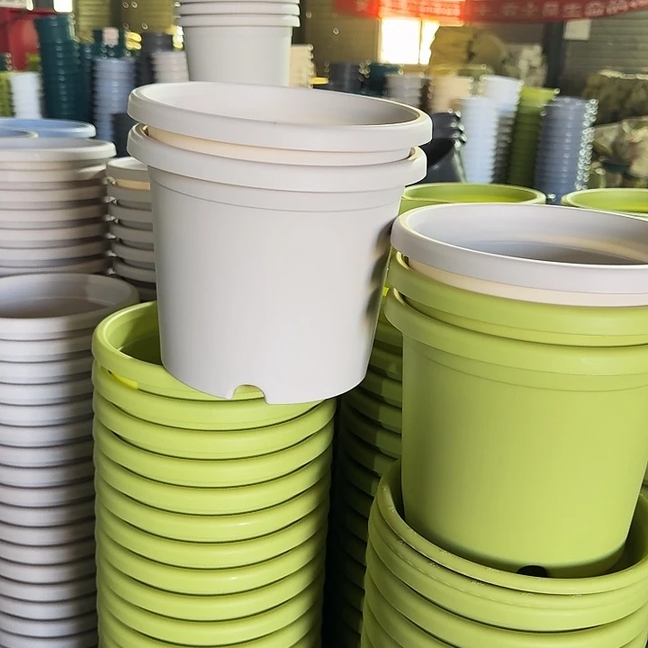 四季3#口径21灰白10个无托