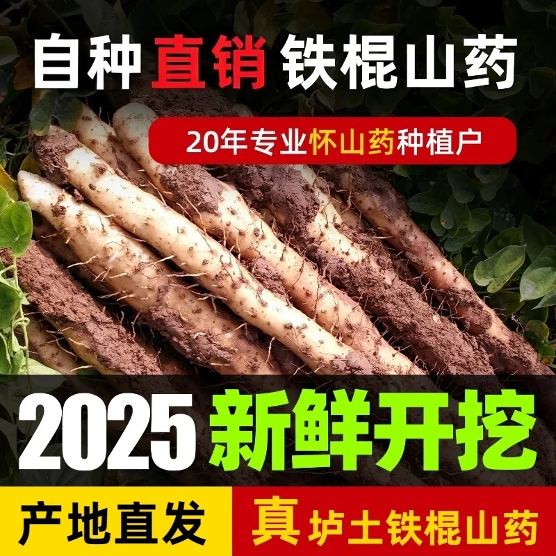【书记助农】河南焦作垆土铁棍山药新鲜怀山药原产地直销农产品