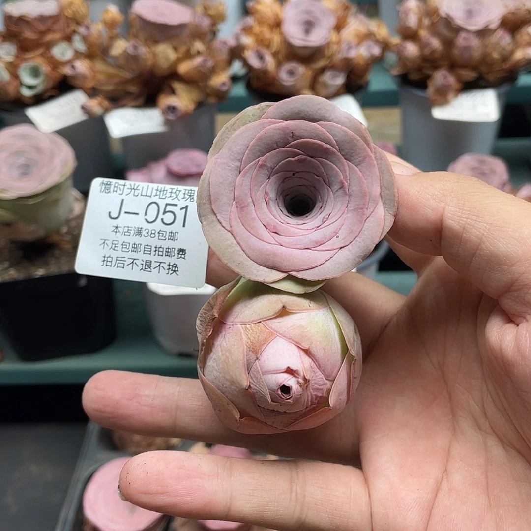不知名福利051一物一拍