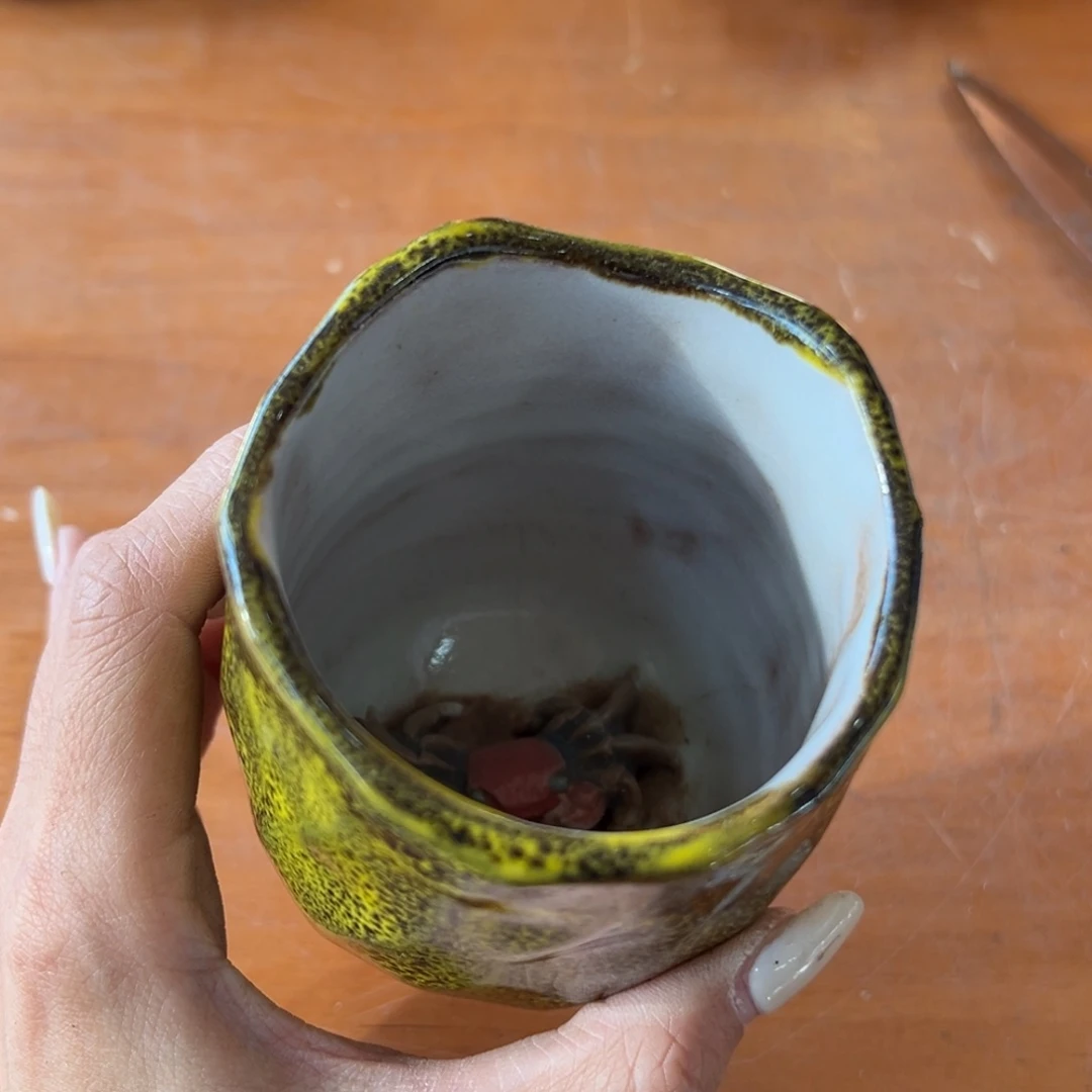 用***1海外陶瓷茶具日化