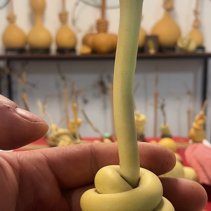 大叶紫檀（黑酸枝木类）h*i