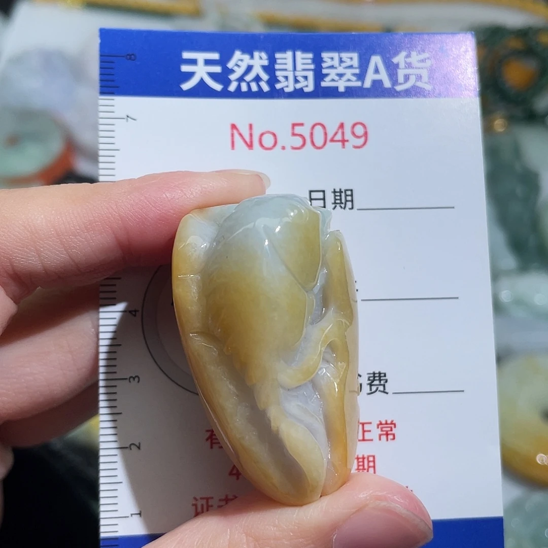 翡翠未镶嵌挂件5049