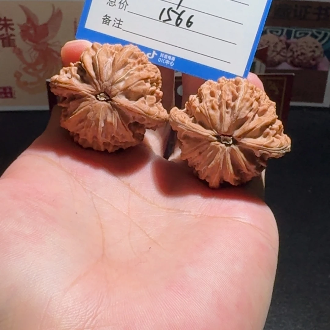 M***w山地磨盘全品编号1253