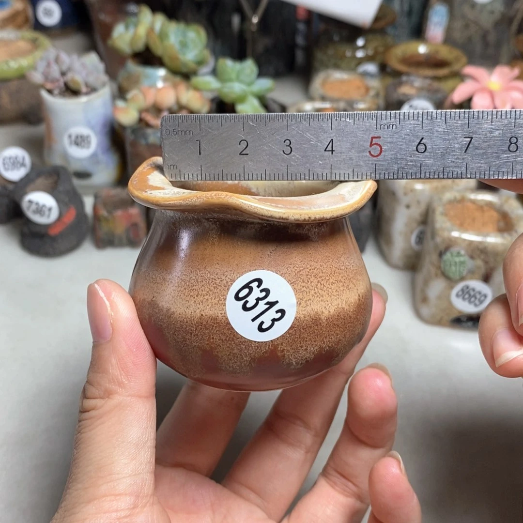 拍5送一个小礼物
