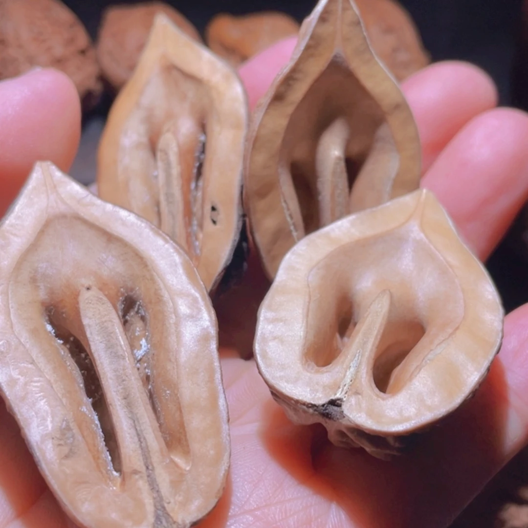 【闪购商品】文玩核桃把件东北楸子50