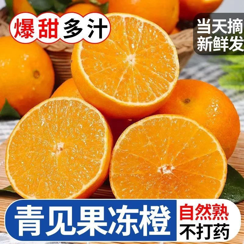 B【果园直发】四川青见果冻橙新鲜采摘现摘现发坏果包赔净重5-8斤1