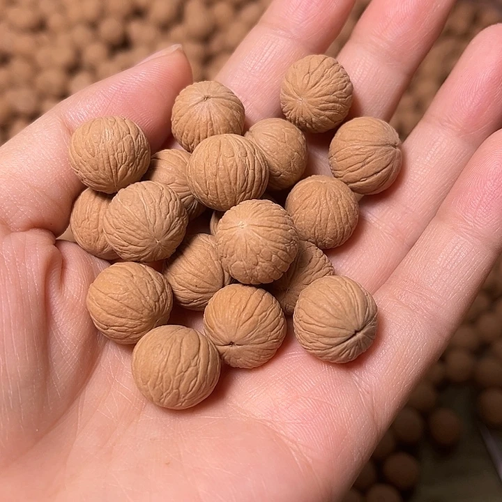手串猴头核桃凤羽散珠100颗