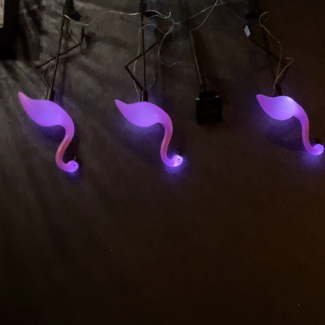 红陶红陶红陶红陶