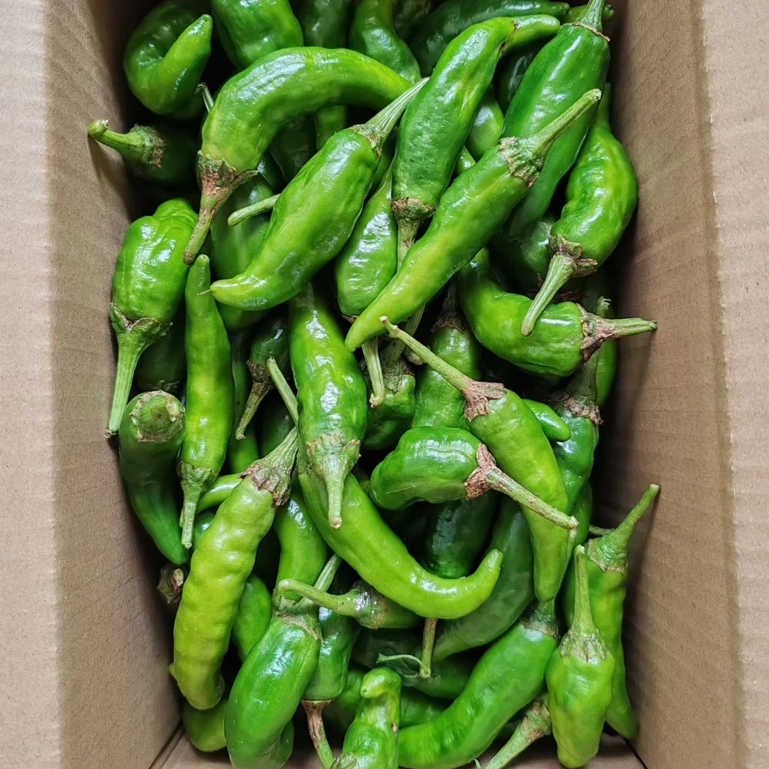 皖南露天农家肥种植蔬菜  顺丰包邮