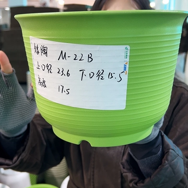 正品矮陶口23.6高17果绿无托6个