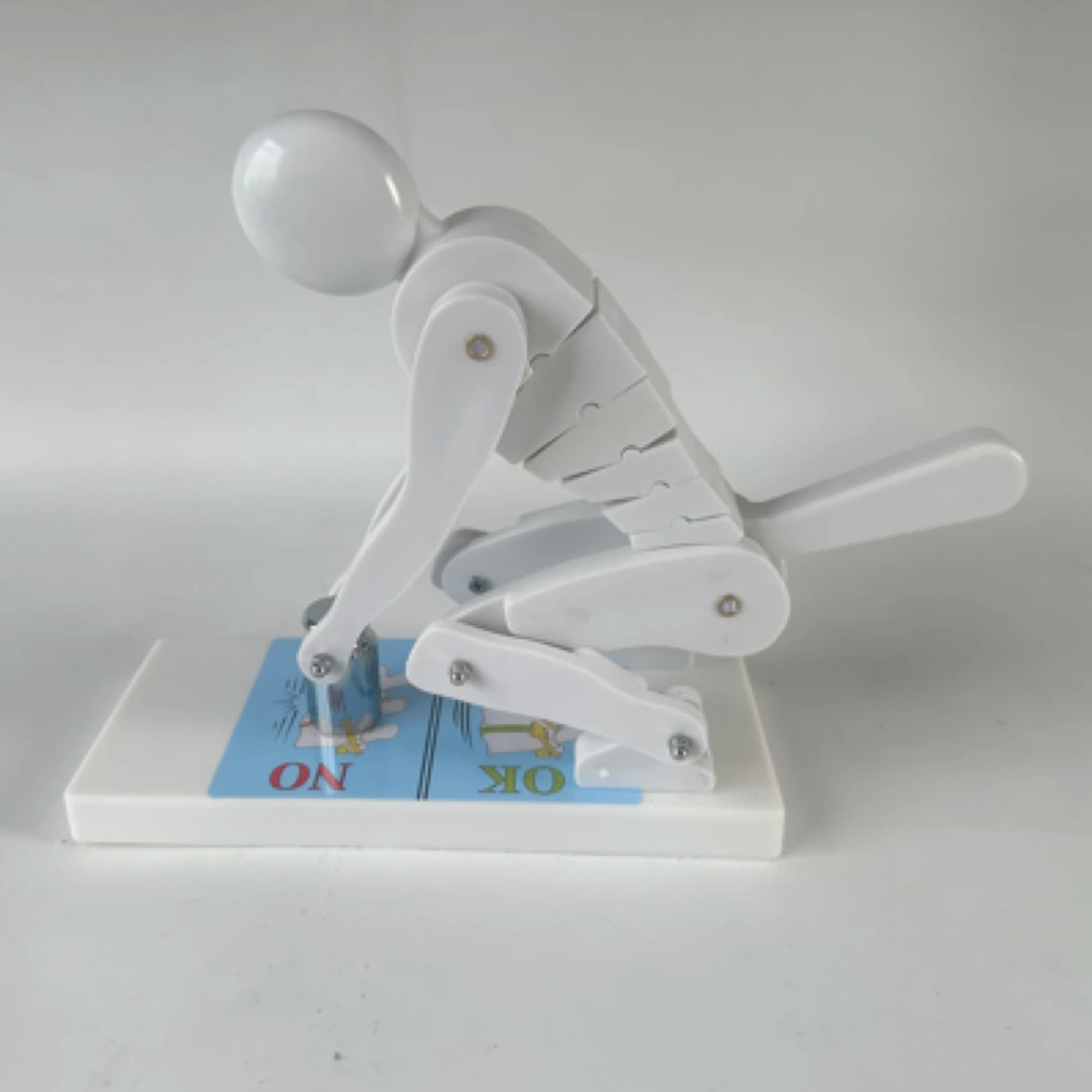 人体弯腰举重脊椎受力演示模型健身重物正确姿势演示腰部腰椎保护