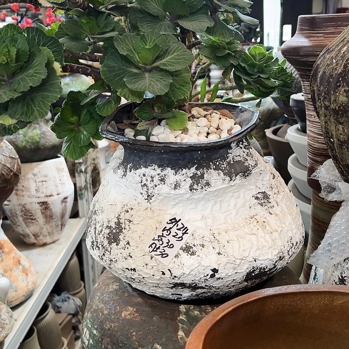 精品花盆栽适合盆栽适合盆栽适合