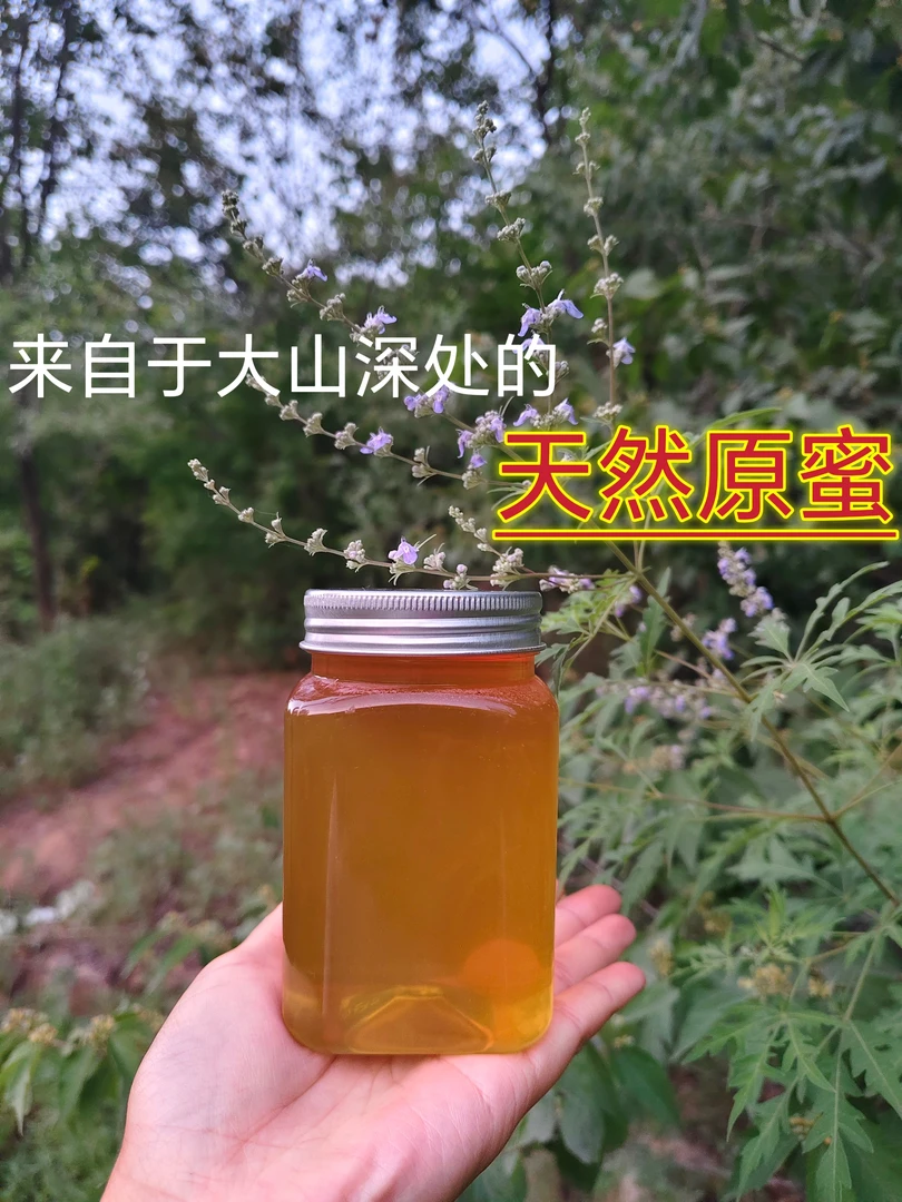 醇厚香甜养蜂人小卢家荆条纯天然波美度42.5+果酸高的纯天然蜂蜜