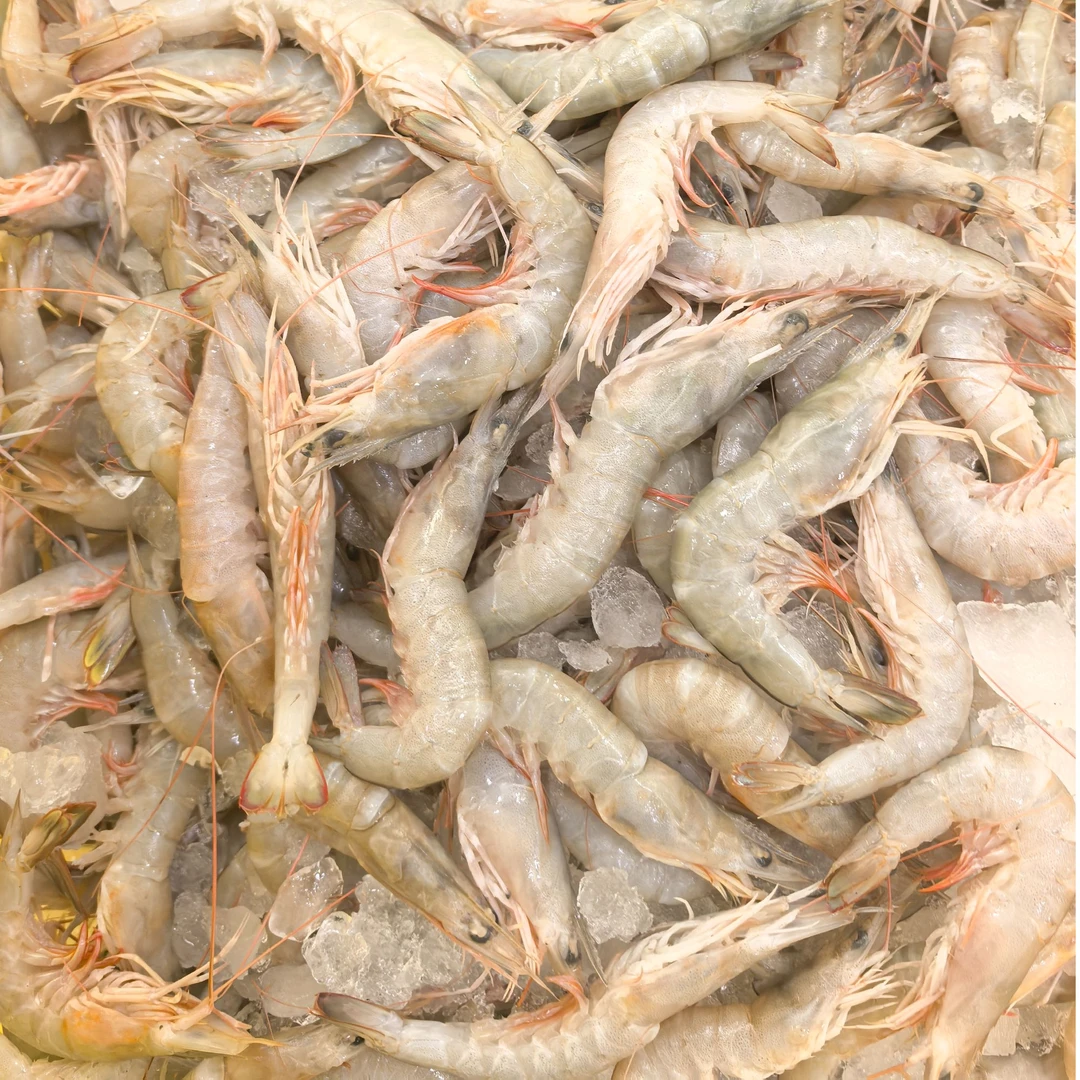 顺丰发货 海捕沙卢虾 次日达