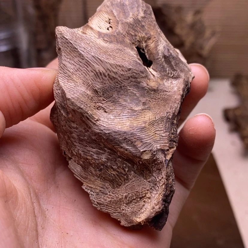 【闪购商品】海南壳子6.5克